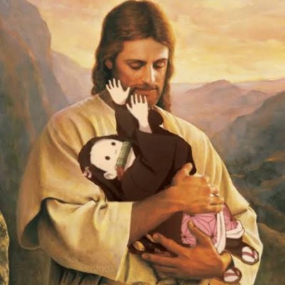 Gato_asmatico's profile picture. 