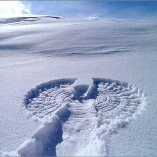 BobSnowdude's profile picture. I call it like I see it. I bleed UConn blue, and SEC football!