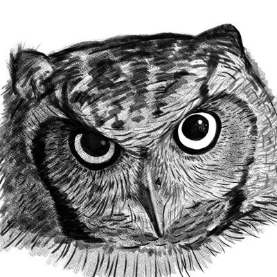 Jgbotio96's profile picture. 🇯🇵 漫画 Manga/Artist