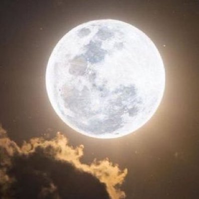 xinainx's profile picture. 