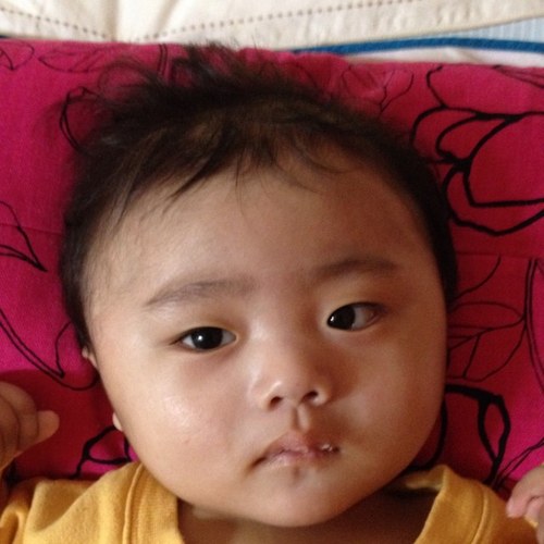 KimThisLaw's profile picture. 