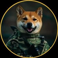 Fella_зов of bonk #NAFO 🇺🇦 📯💚 (@fr_ch) 's Twitter Profile