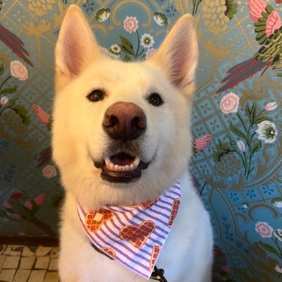 Jessychkaxvii's profile picture. 