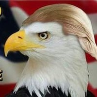 FJB🖕 Trump 4 Prez🇺🇸(@FJBTrump4Prez) 's Twitter Profile Photo