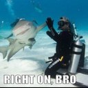 Max Kearney - @MaxwellKearney - Twitter