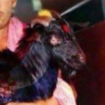 legallyenraged's profile picture. 