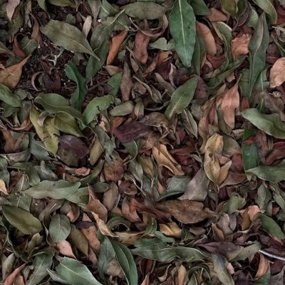 Modaih1412m's profile picture. بِضعٌ منّي يقرأ وآخر يَتّعض ..