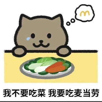 Chengjiahui4's profile picture. 肥宅