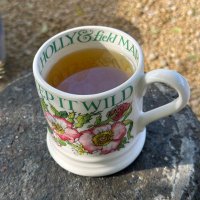 🌱🦋ClockworkDolly🦋 (@clockwork_dolly) 's Twitter Profile