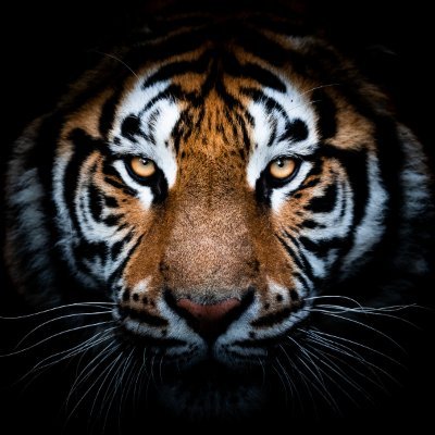 CCreativedev's profile picture. Yazılım Mimarı