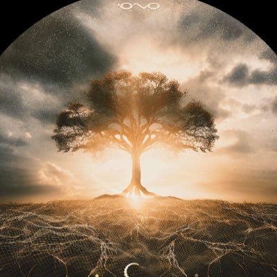 Amira_lame's profile picture. تثبیت. تکرار .در همه حال