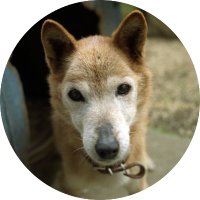 関元聡 (@skmt3104n_sfw) 's Twitter Profile Photo