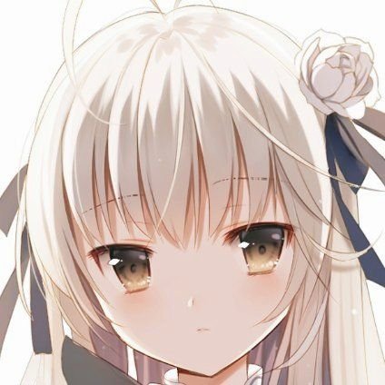 ぷまさんのプロフィール画像