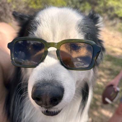 moisesdurazo's profile picture. 🌵||🇲🇽