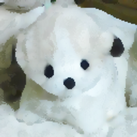 いなだ詩穂 (@inada_shiho) 's Twitter Profile Photo