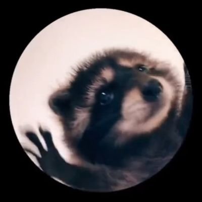 EdgarAlbertoGm6's profile picture. Un gusto poder saludarte.