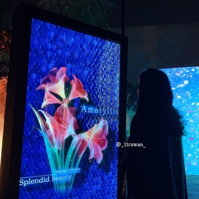 _11Rawan_'s profile picture. 