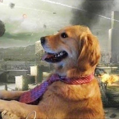 DwitterDog's profile picture. you aint khaled