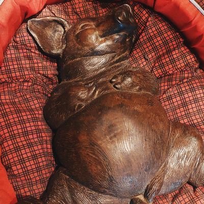 高収益で自己資本の積み上がった銘柄が大好きです。日本個別株主体で長期の盆栽投資。2018.8~。FAメーカー勤務。ものづくりの現場目線で株式を。