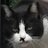 324_mignon