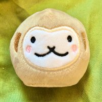 ちゃ〜こん (@cha_popcorn_mog) 's Twitter Profile Photo