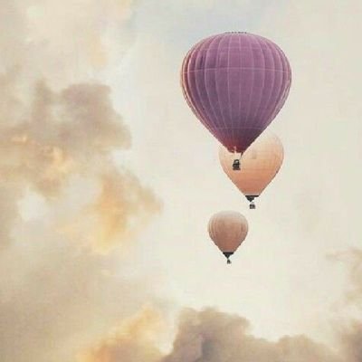 venugop70859595's profile picture. don't give up