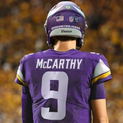 Introverted human, outspoken Vikings fan.
#skol