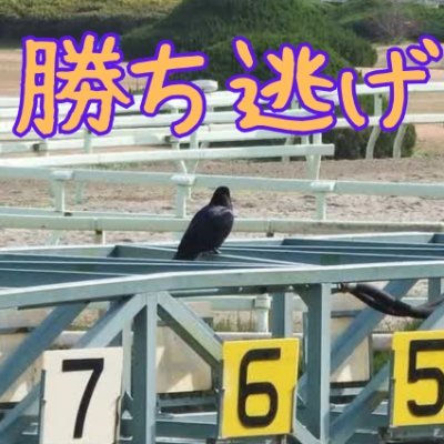 中央競馬の馬場情報や有力馬情報をスプレッドシートで
完全無料公開中!
https://t.co/KVgPLzYXVo
TikTok→https://t.co/M3UMoiC4Ql
