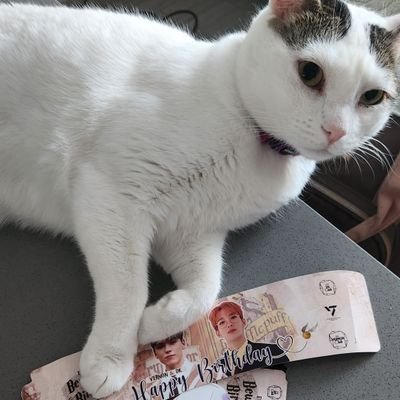 sleepyundersun's profile picture. Pediatric ICU nurse
33 yo
gymrat
ISFJ
♡ シド
♡ DPR ♡ pH-1
♡ CARAT ♡ gyuldaengie