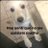 carolimica's profile image