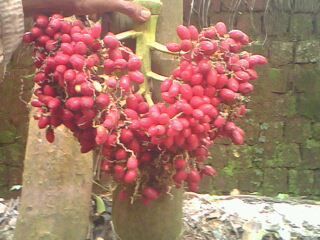 pratheesh28's profile picture. 