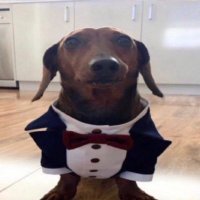 Metroractor 🇵🇸 (@metrobractor) 's Twitter Profile