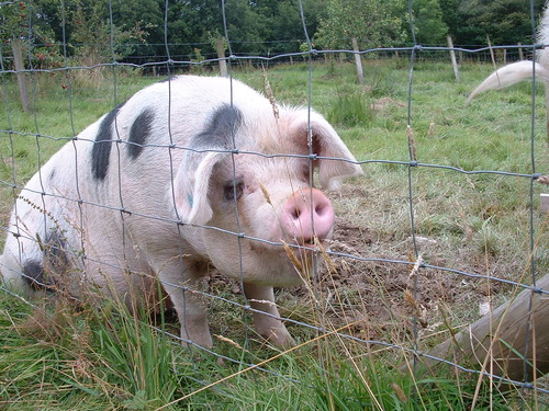 awes2345ork's profile picture. follow back💯💯💯💯💯💯💯客服直接对接一站式服务售后无忧，代开蓝V-涨粉-名片排名-爆贴-浏览量-热门教学-等等 微 信：dv28256   TG:https://t.co/DXrY7WPUdf
follow back💯💯💯💯💯💯💯