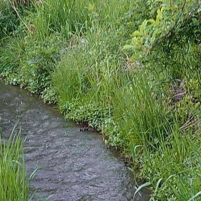 ynILwtHs6B21060's profile picture. 