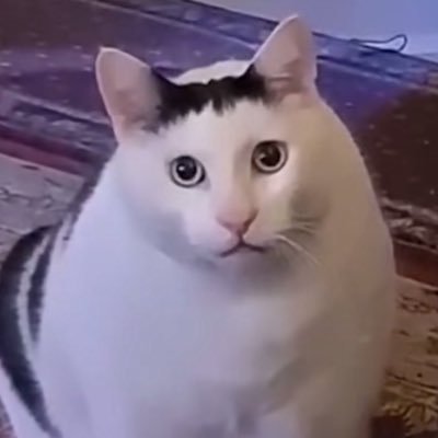 puffycreami's profile picture. I'm gonna do it from today. -ten- เสพนุ้งเตนล์โดยเฉพาะ