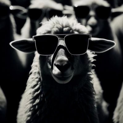 claudeimmigrant's profile picture. Opinions are not mine, it’s my buddy John.