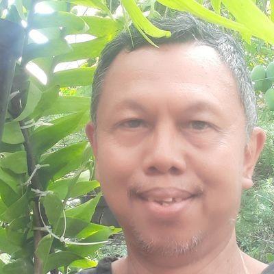totoksis129483's profile picture. pembaca semangat zaman, pemulia tanaman dan penyayang satwa
