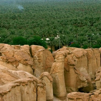 مهتم بتاريخ الاحساء وعلمائها
مهتم بمخطوطات الاحساء ووثائقها
مهتم بإقامة البينة على من قام بالتحريف
تكرماً ضع رتويت لتغريداتي ليستفيد بها غيرك فالإعجاب لك وحدك