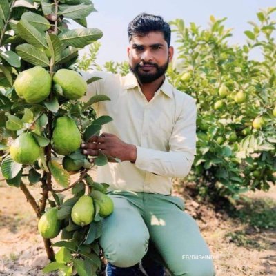 sagwanfarming's profile picture. Earn from your agri land in village. We integrate teak , eucalyptus, Mahogany, sandalwood,mango,guava,lemon plantation