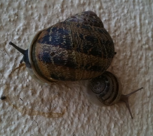 Justadaddygr's profile picture. Με λένε Βασίλη και είμαι απλά ένας μπαμπάς που του αρέσει να μαθαίνει, να δημιουργεί, να διασκεδάζει, να μοιράζεται και να συζητάει.