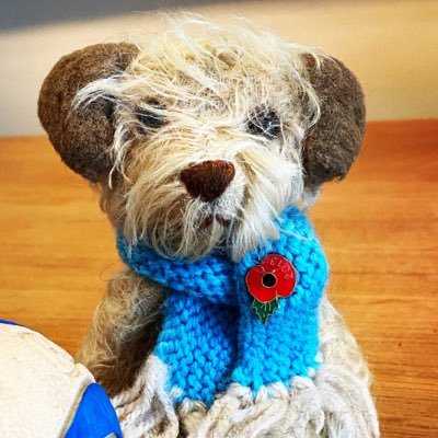 claptonterrier Profile Picture