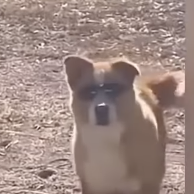 GSota40223's profile picture. 