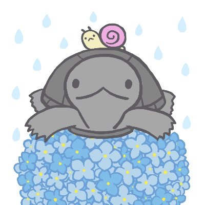 harehapi's profile picture. のんびりアカウント。動物、生き物が好きです。亀さんと暮らしています🐢まめきち(5才)🐢つぶきち(5才)