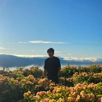 DBeginning (@gensyce) 's Twitter Profile