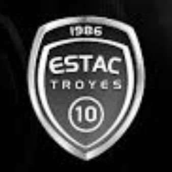 Supporter de l'ES Troyes AC 🟦⬜🍾
⭐🇫🇷⭐