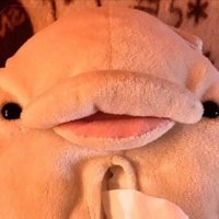 あゆ吉 (@voumh) 's Twitter Profile