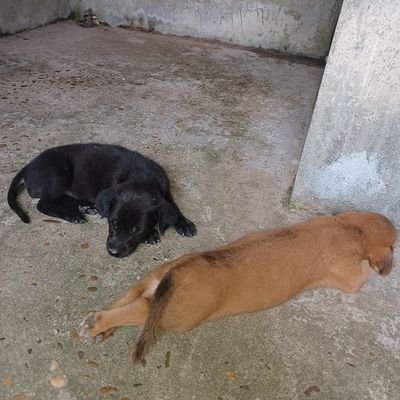 Mai02239274's profile picture. 