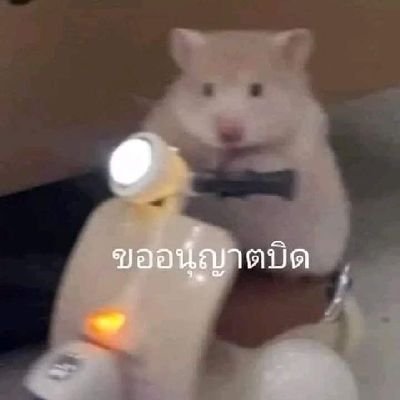 themoon_005's profile picture. เป็น🥕