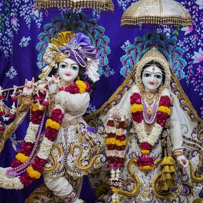 karyan0812's profile picture. 100%फॉलो बैक मिलेगा