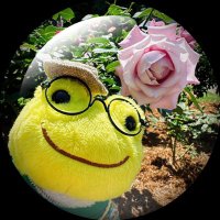 パール (@guripearl) 's Twitter Profile
